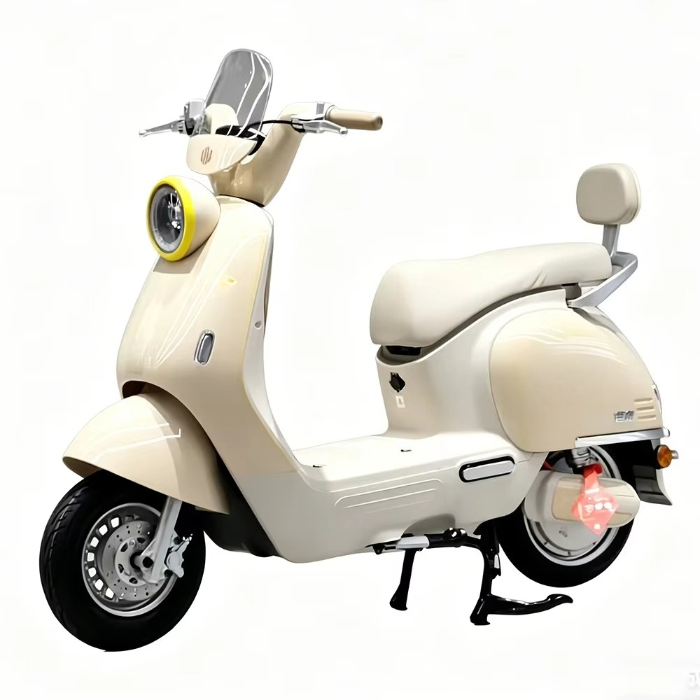 Электрический мотоцикл EER для – обзор и цена Brake Disc Motorcycle